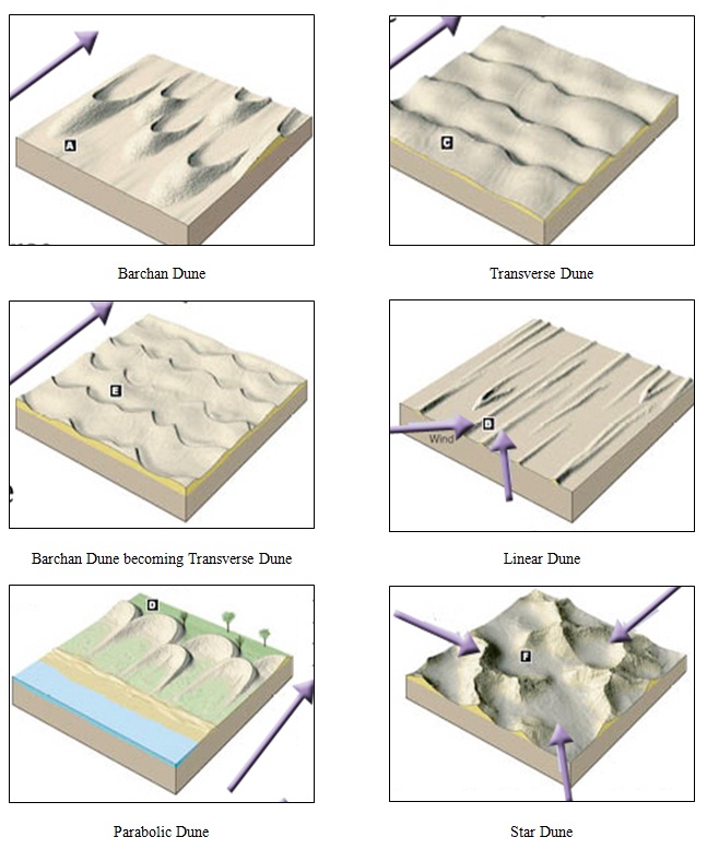 Sand Dunes Reviewing Wind Effect and Dunes Classification