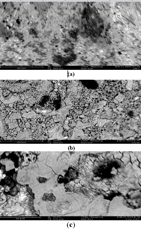Adsorptive, kinetic and thermodynamic investigations of Sarcocephalus latifolius leaves extract as corrosion inhibitor on alloy steel in 0.6M HCl solution